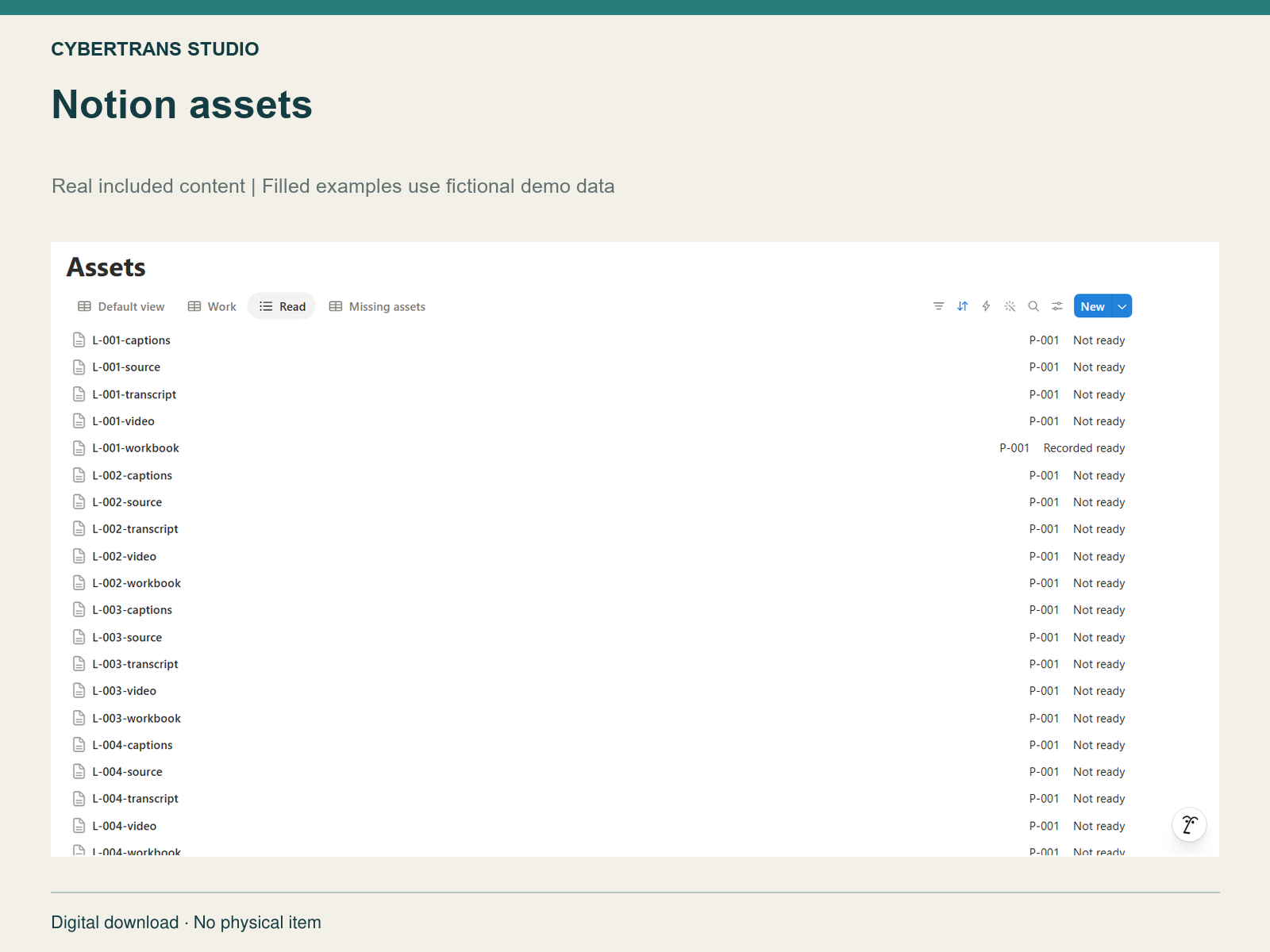 Notion assets