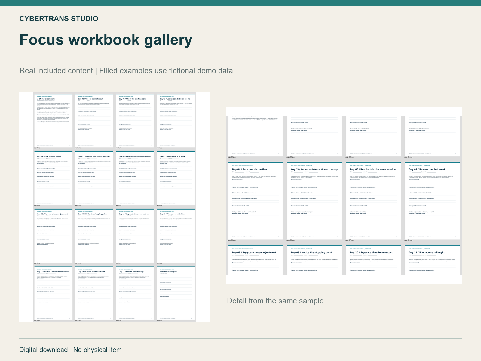 Focus workbook gallery