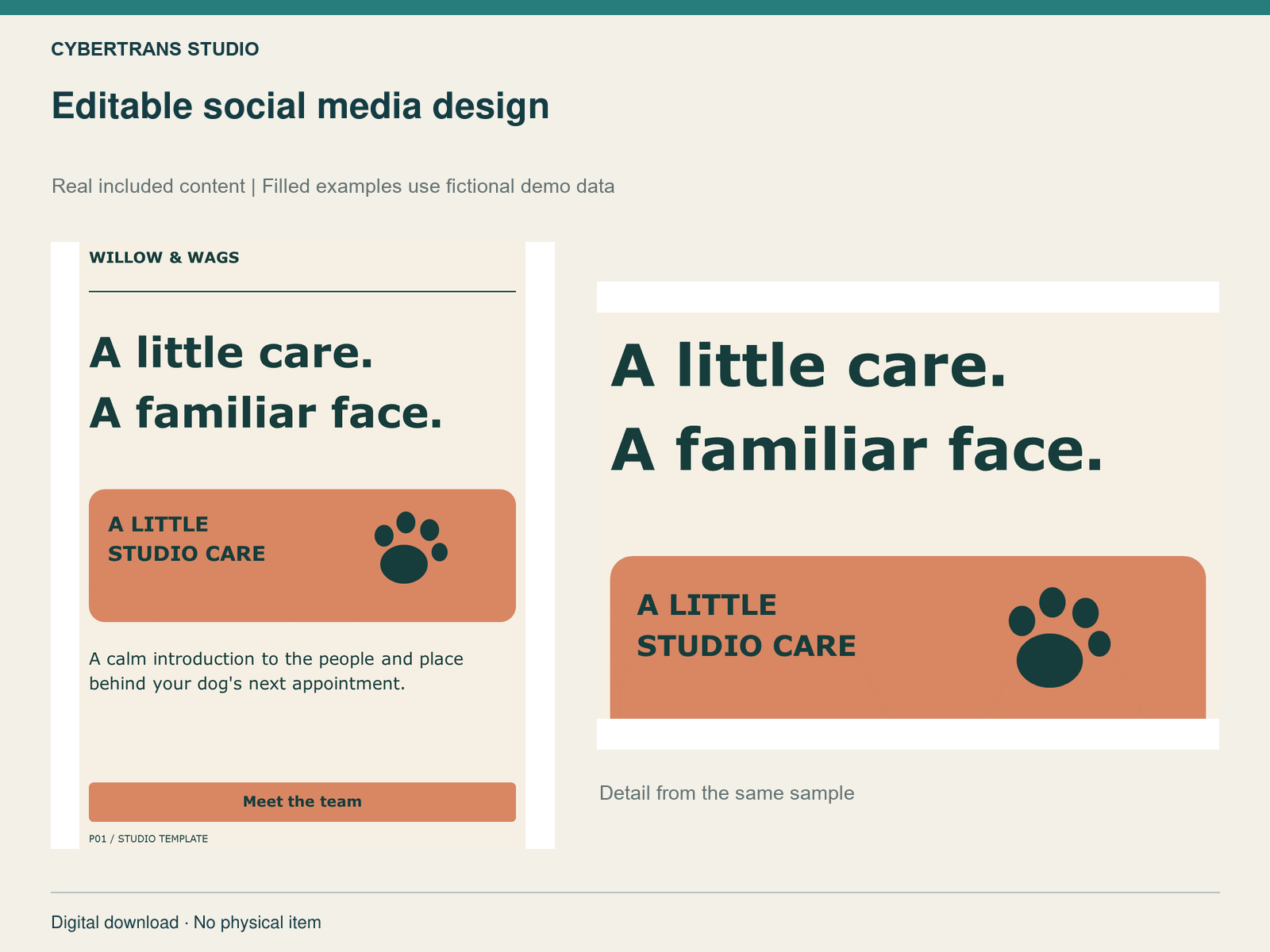Editable social media design