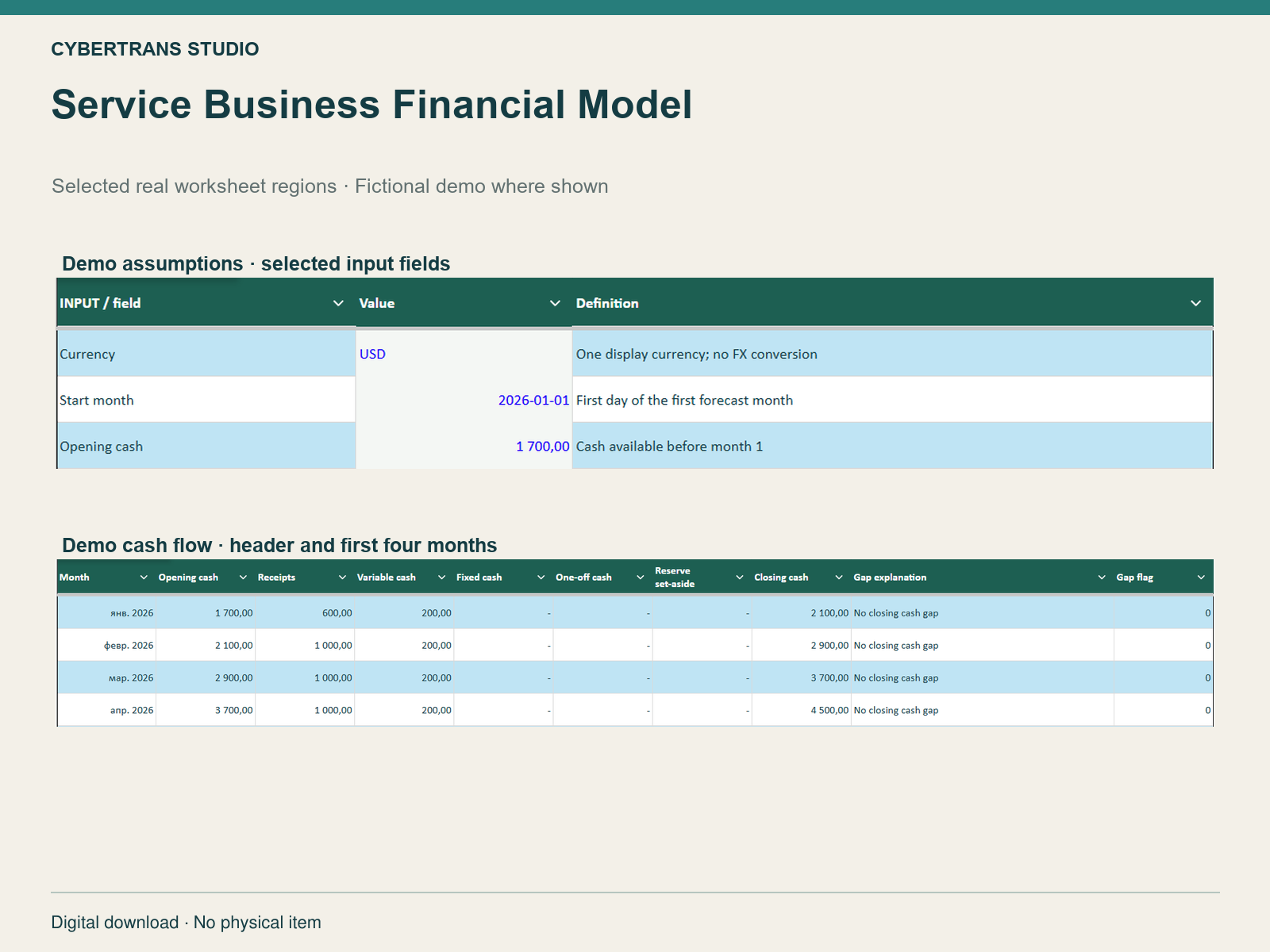 Service Business Financial Model